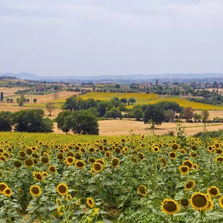 Milluzzi *